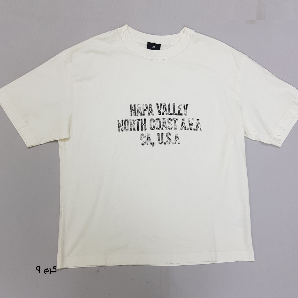 تی شرت مردانه 31080 مارک H&M   *