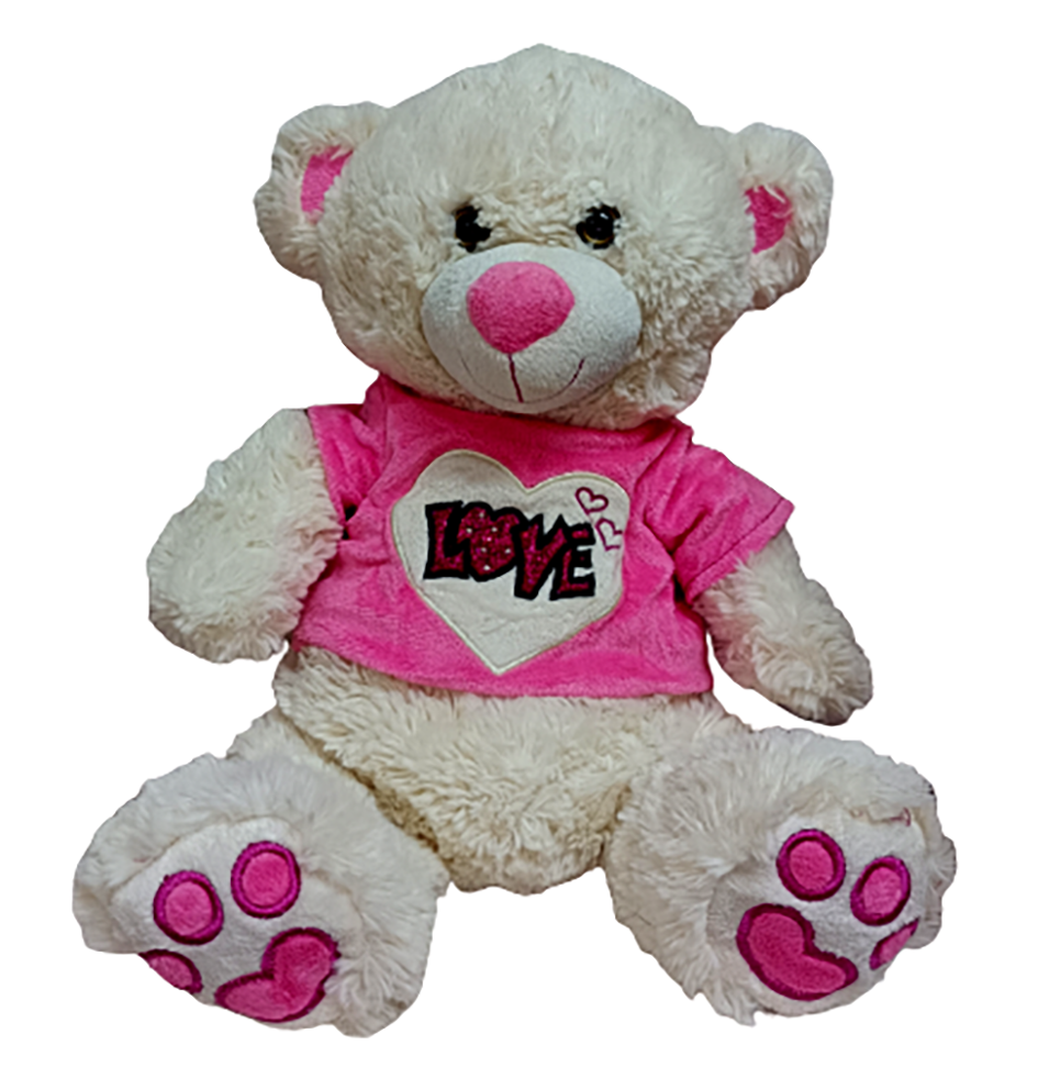 عروسک خز دار در طرح خرس ی کد 2205055