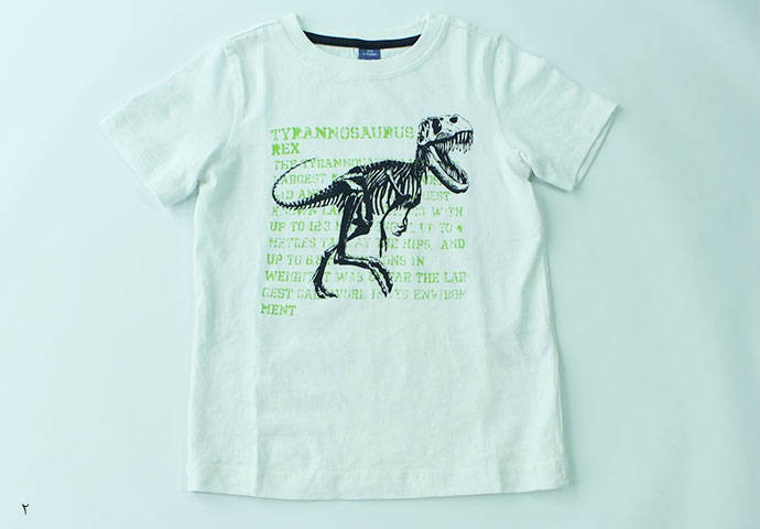 تی شرت پسرانه 100397 سایز 2 تا 8 سال مارک Dopodopo