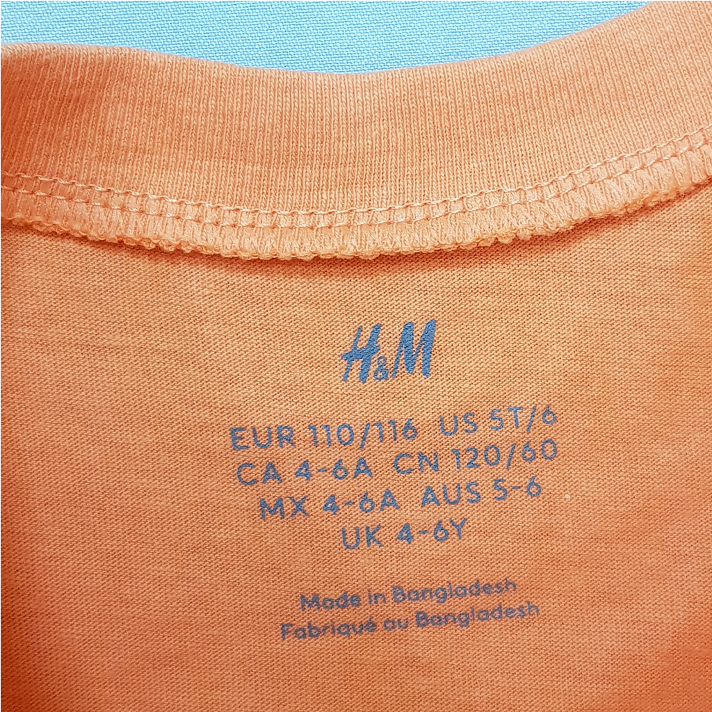تی شرت پسرانه 23719 سایز 3 تا 12 سال مارک H&M