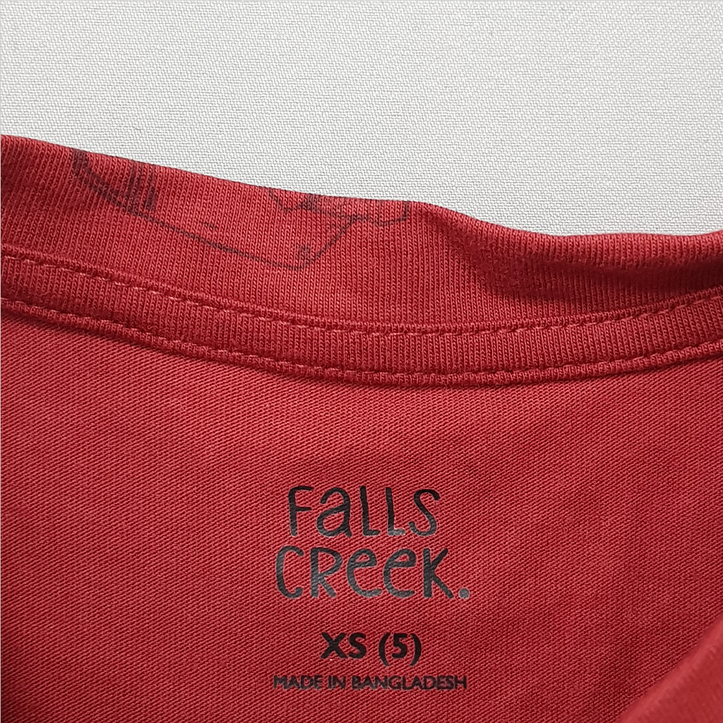تی شرت پسرانه 27306 سایز 5 تا 16 سال کد 2 مارک Falls Creek