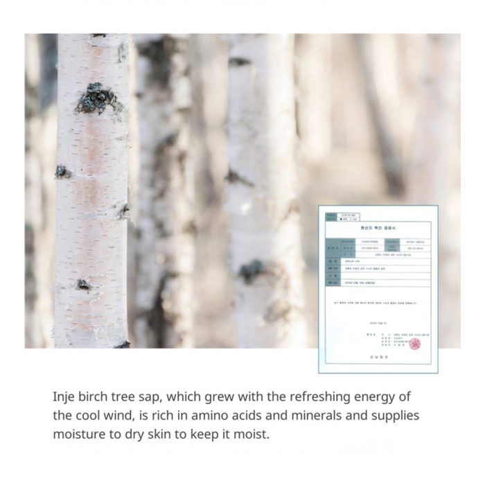 کرم ضدآفتاب ضدالتهاب مرطوب کننده راندلب Round Lab Birch Juice Moisturizing Sunscreen کد 2686