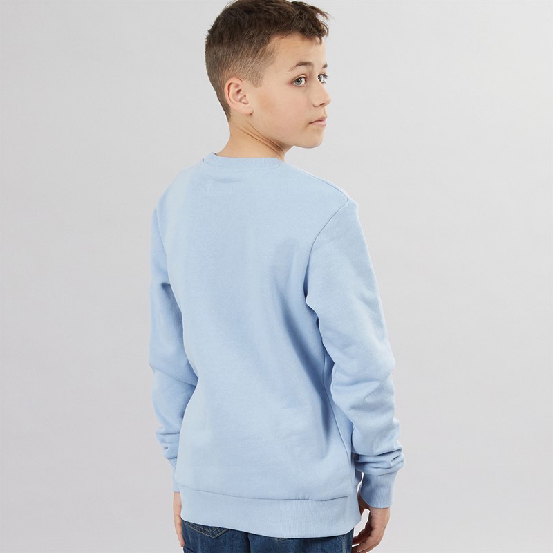 پلیور پسرانه 29250 سایز 6 تا 16 سال مارک Jack&Jones