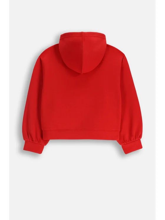 هودی دخترانه 29383 سایز 8 تا 15 سال مارک CDRL