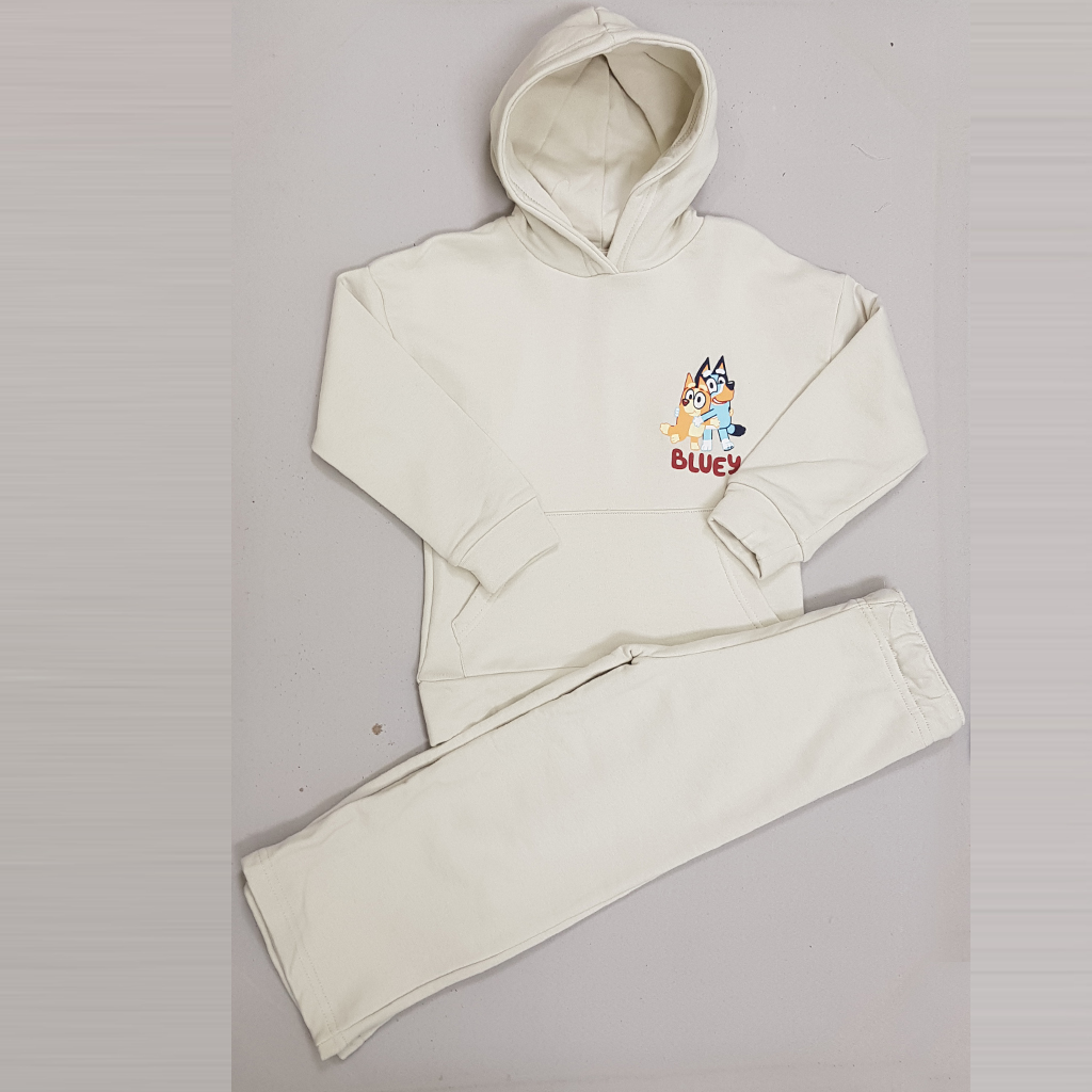 ست هودی و شلوار پسرانه 29603 سایز 2 تا 10 سال کد 3 مارک H&M