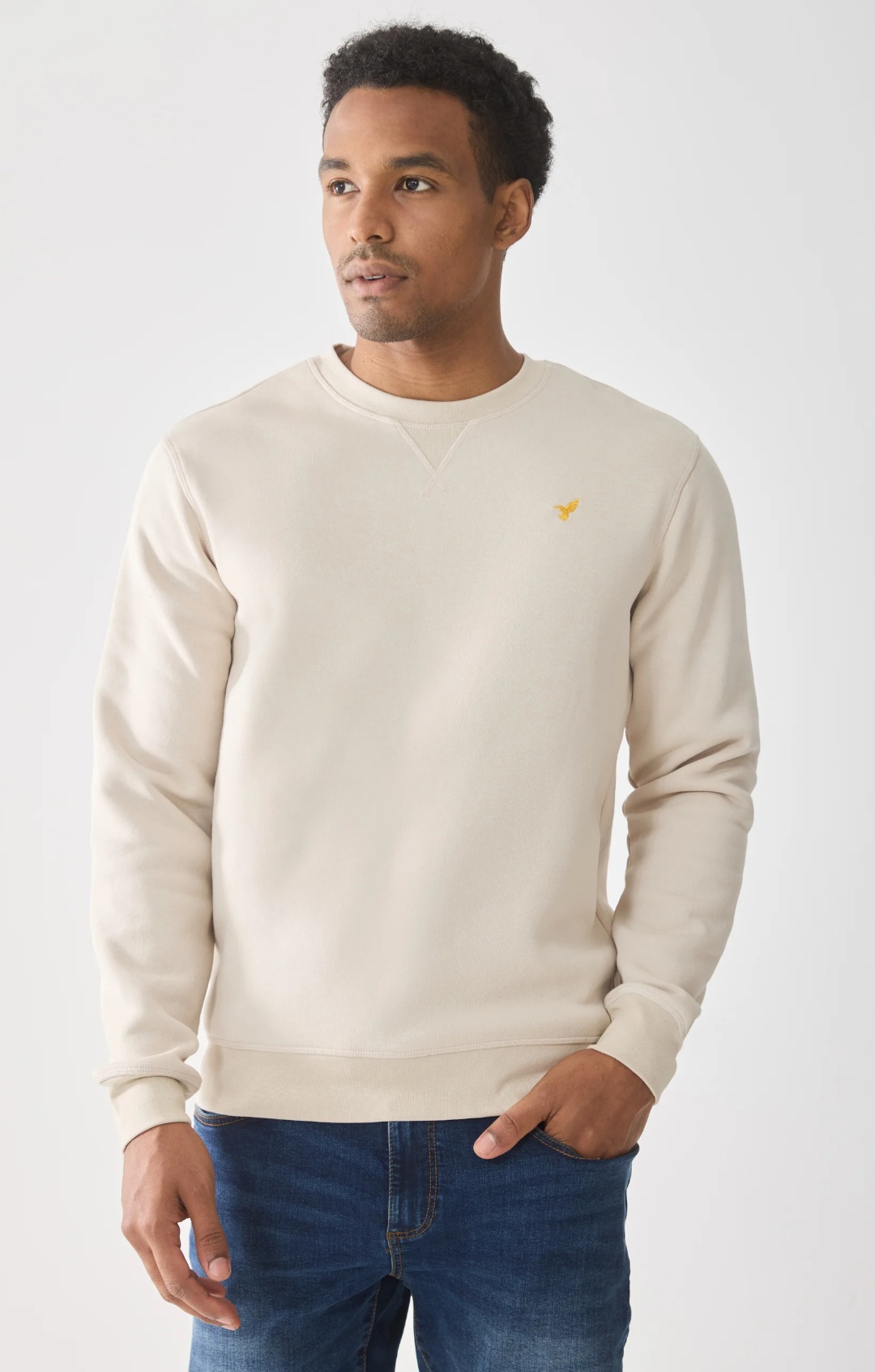 پلیور مردانه 29411 کد 4 مارک Pier One