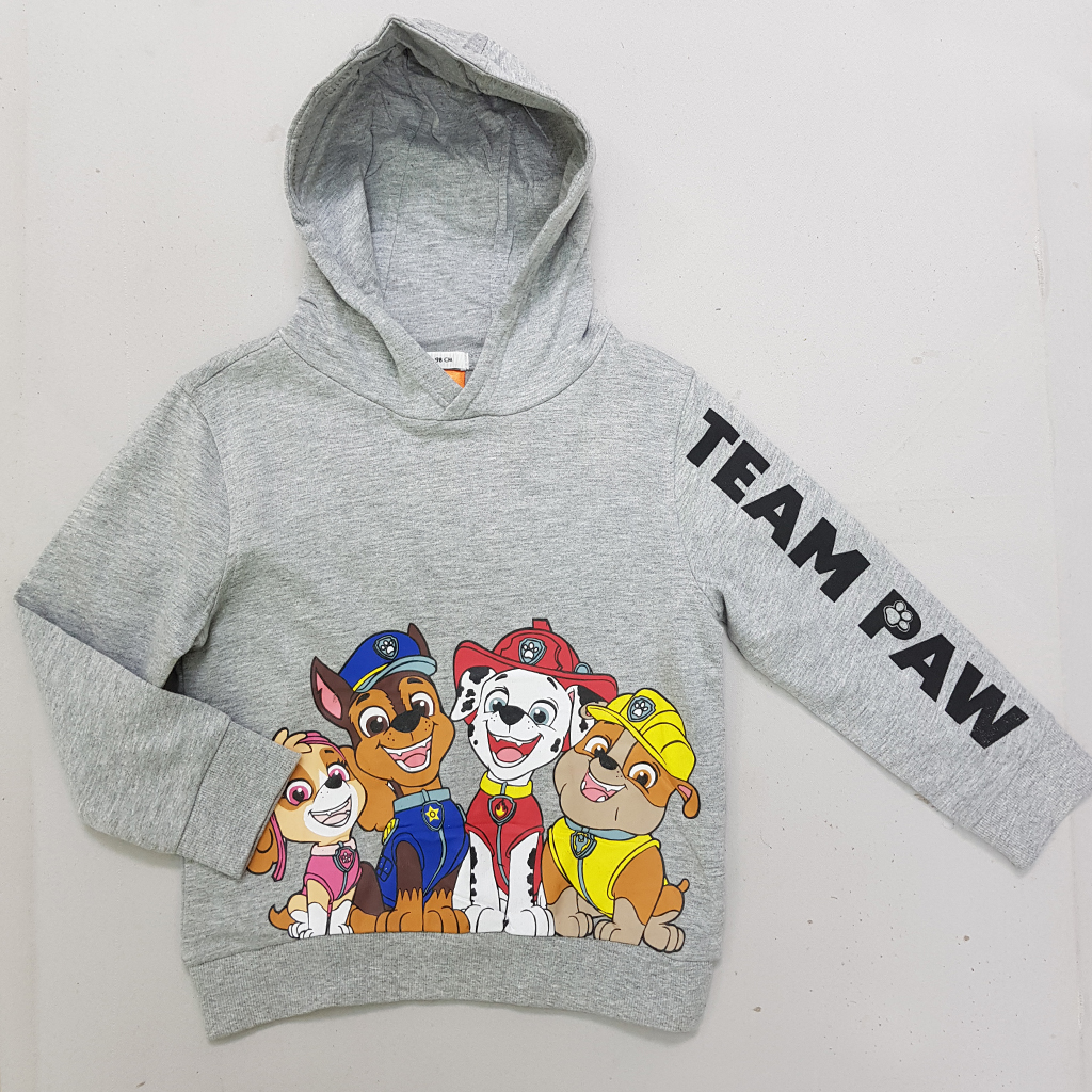 هودی پسرانه 30212 سایز 2 تا 8 سال مارک SINSAY   *