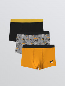 شورت 3 عددی پسرانه 30658 سایز 3 تا 14 سال مارک LCWAIKIKI