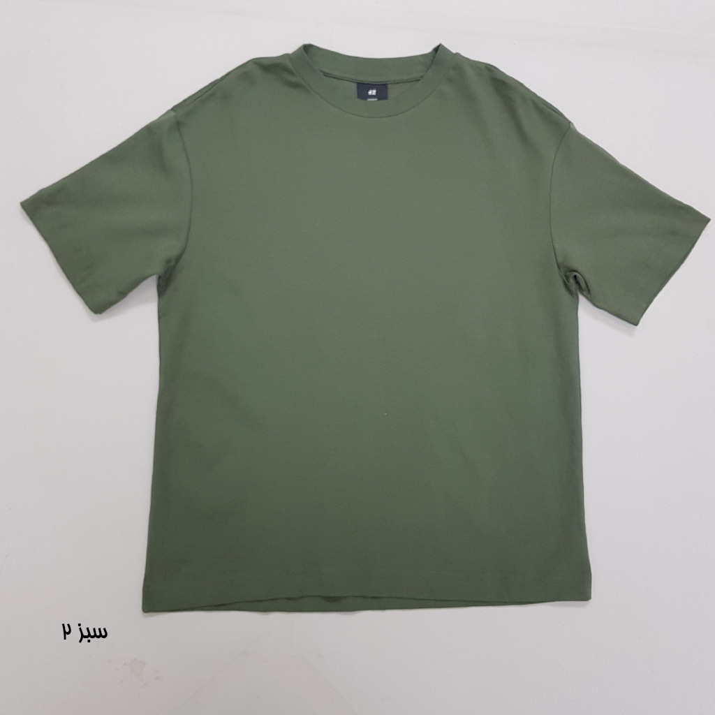 تی شرت مردانه 30390 کد 1 مارک H&M