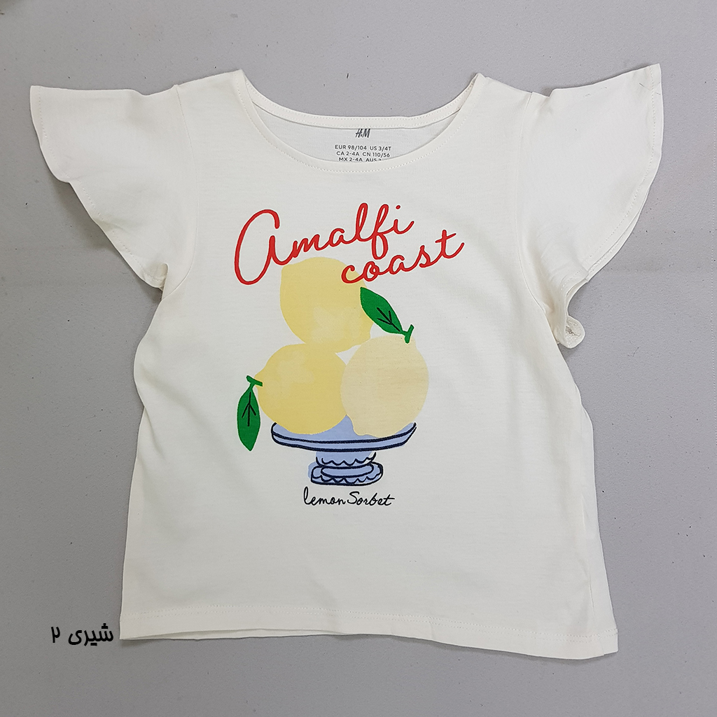 تی شرت دخترانه 30724 سایز 1.5 تا 12 سال مارک H&M
