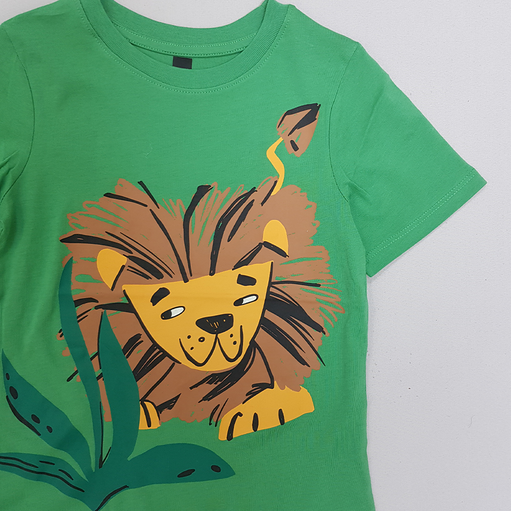 تی شرت پسرانه 30833 سایز 3 تا 8 سال مارک H&M