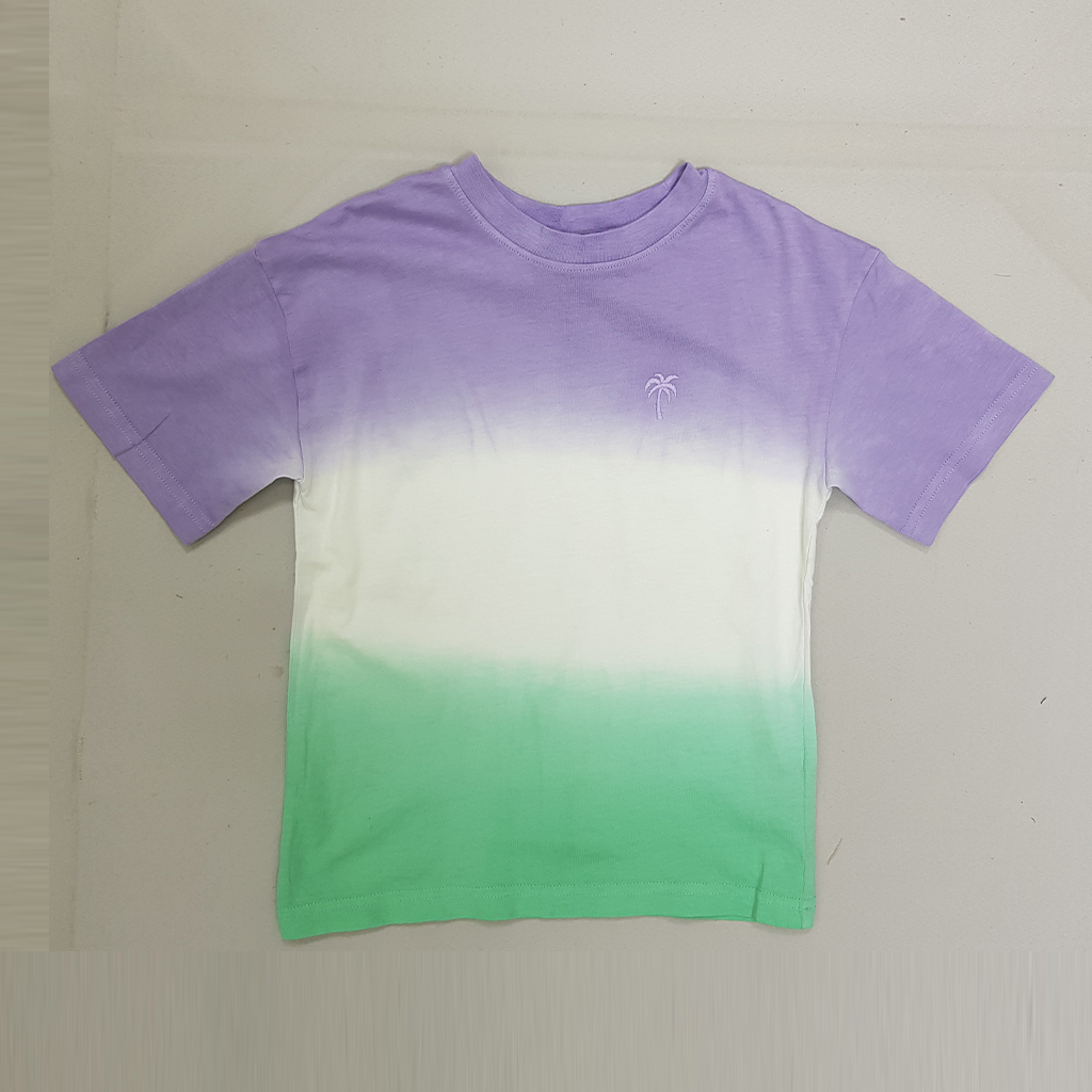 تی شرت پسرانه 31048 سایز 1.5 تا 12 سال مارک H&M