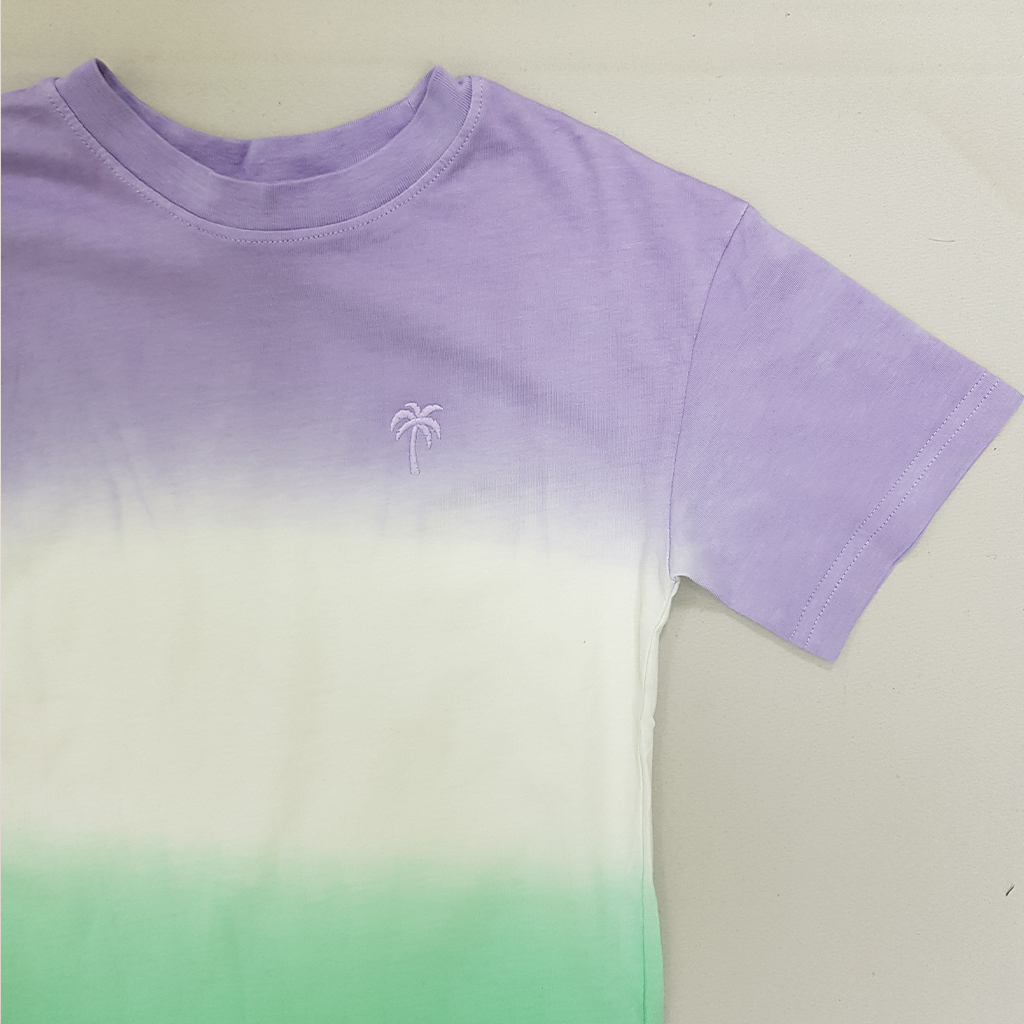 تی شرت پسرانه 31048 سایز 1.5 تا 12 سال مارک H&M