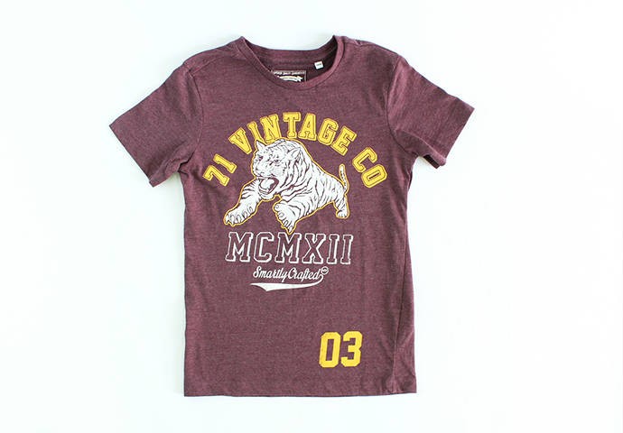 تی شرت پسرانه 15481 سایز 7 تا 15 سال مارک VINTAGE CO