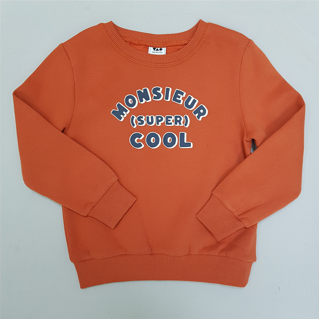 پلیور پسرانه 29356 سایز 2 تا 12 سال مارک Tapea Loeil