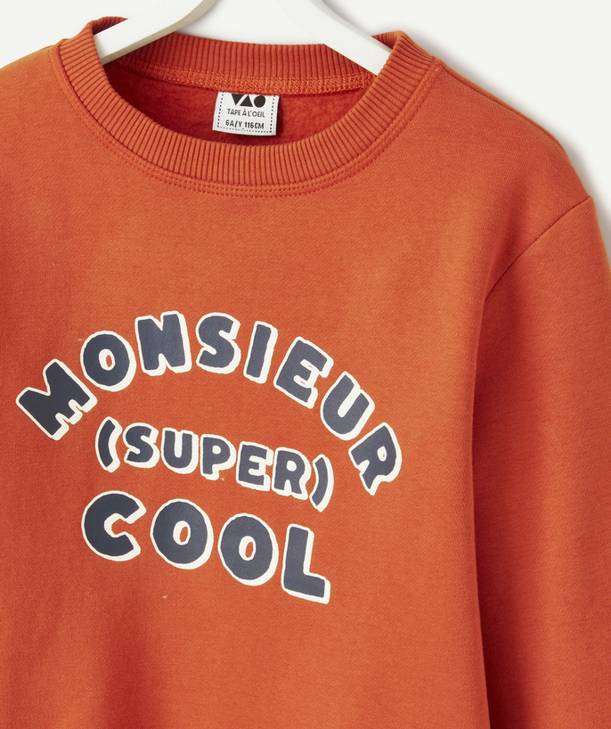 پلیور پسرانه 29356 سایز 2 تا 12 سال مارک Tapea Loeil