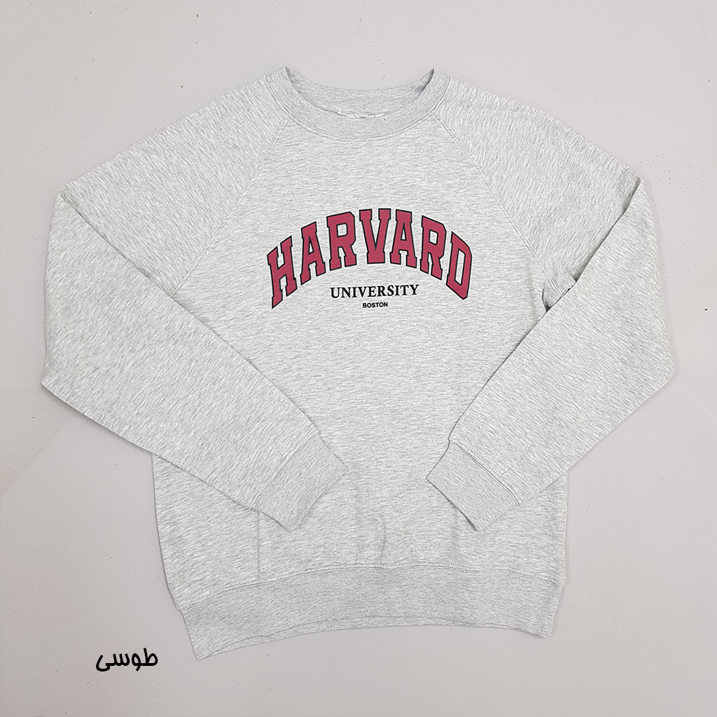 پلیور زنانه 30015 مارک H&M