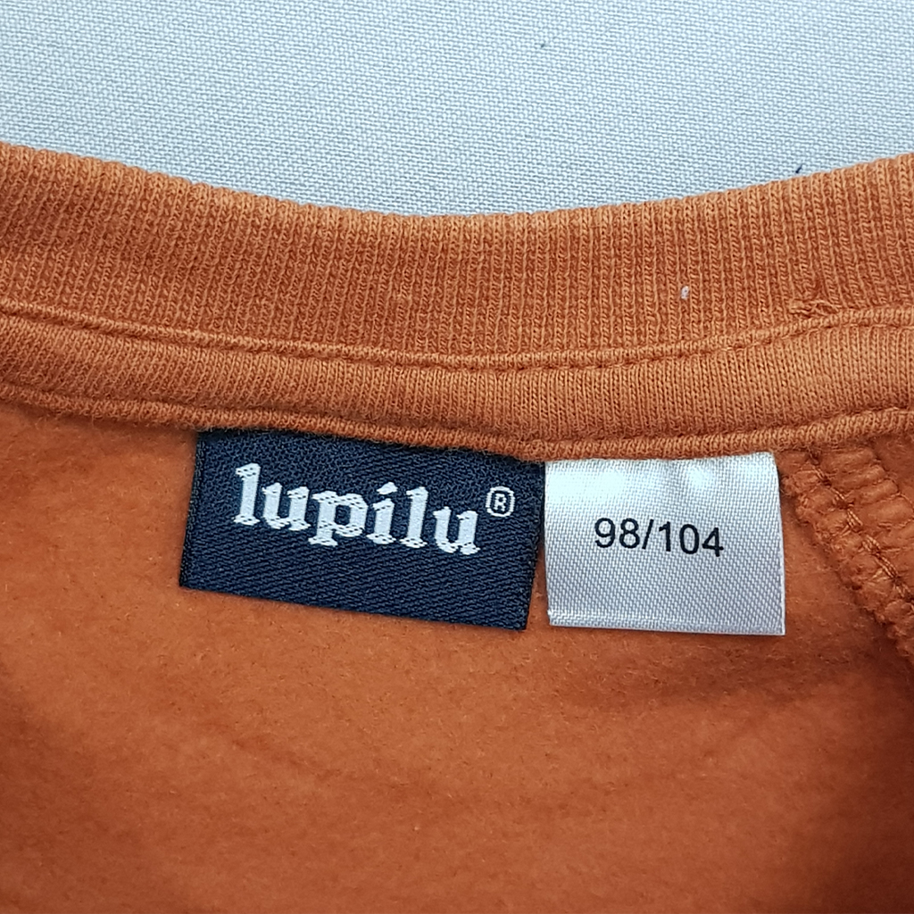 پلیور پسرانه 30082 سایز 3 تا 8 سال مارک LUPILU
