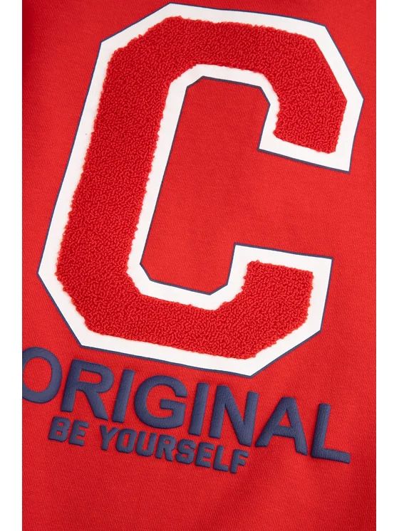 هودی دخترانه 29383 سایز 8 تا 15 سال مارک CDRL   *